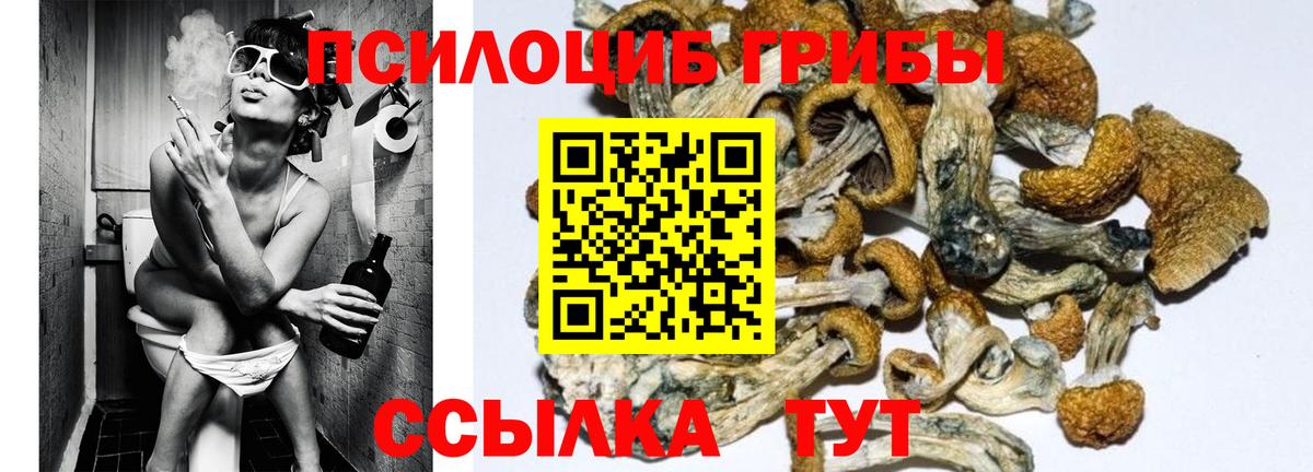 Галлюциногенные грибы Magic Shrooms Сибай
