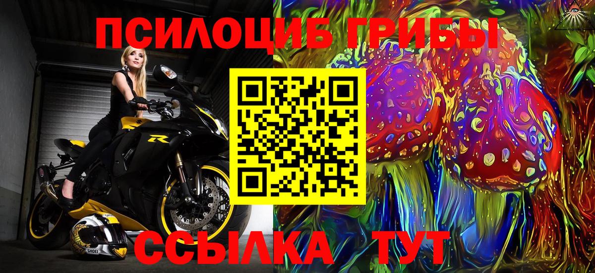 Галлюциногенные грибы Cubensis  Вход с VPN  Сибай 